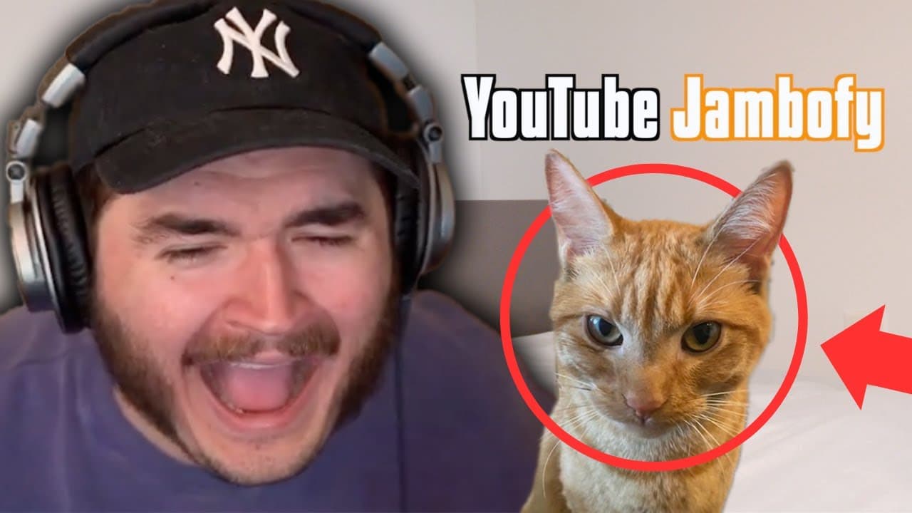 Video Thumbnail